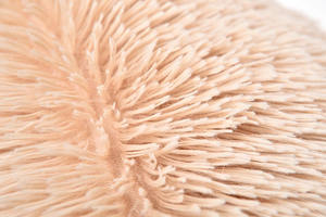 Venda quente <span class=keywords><strong>Calming</strong></span> Dog Bed Confortável Longo Plush Pet Bed Acessórios Faux Fur Donut Cuddler <span class=keywords><strong>Cat</strong></span> Dog Bed - Product Image 6