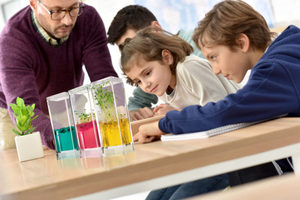 Kit de laboratorio de jardín para profesores de estilo rural, ecosistema de cultivo para <span class=keywords><strong>estudiantes</strong></span> para interiores o exteriores, uso de vivero en el hogar, macetas para cultivo de flores - Product Image 2