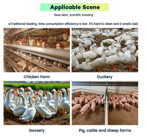 Sistema de Alimentación Automático Nuevo de Venta Caliente de Fábrica 220V para Gallinas Ponedoras en Granjas Avícolas: Comodidad en la Alimentación - Product Image 6