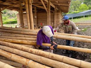Varas de Bambú de Alta Densidad, Grado de Construcción, Gran Diámetro, para Soporte Estructural - Product Image 6
