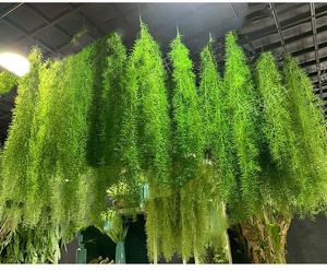 Hotel de fábrica de plástico Faux Fern Vine hojas verdes techo colgante Waterweed plantas persas artificiales para Decoración - Product Image 4