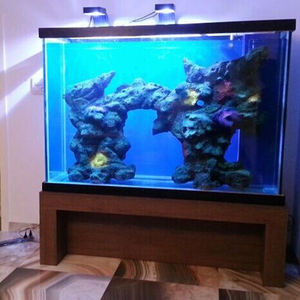 Vente d'usine OEM, décoration murale transparente en plastique acrylique pour aquarium, énorme aquarium - Product Image 4