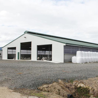 Structure en acier préfabriquée pour bâtiments agricoles, étable à vaches, bergerie, bâtiment pour moutons/bovins/laitiers/chèvres, hangar à volailles, construction de porcherie