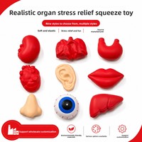 Jouet Squishy de Simulation d'Halloween en Mousse PU, Organes Humains Simulés (Cœur, Foie, Poumons, Reins) pour Soulagement du Stress et Décompression par Compression