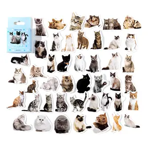 45 pz/pacco gattino Selfie scatola-adesivi di carta confezionati simpatico cartone animato gatto fai da te Notebook cassa del telefono chiusura decorativa Pasteup