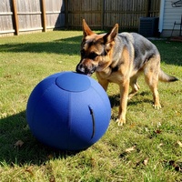 Ballon de dressage et de jeu pour chats, chiens et chevaux, en nylon 1680D anti-morsure, imperméable et durable, avec panneau longitudinal de 10 à 40 pouces et housse