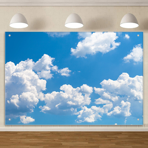 Bleu ciel blanc nuages <span class=keywords><strong>paysage</strong></span> toile de fond photographie <span class=keywords><strong>paysage</strong></span> naturel enfants bébé douche fête d'<span class=keywords><strong>anniversaire</strong></span> fond Photo Studio - Product Image 4