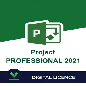 Véritable clé de licence professionnelle Project 2021 Activation en ligne du projet Pro 2021 Clé numérique à vie Envoyer par Ali Chat Page