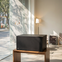 Offre Spéciale – Subwoofer Actif Double 18 Pouces 2400W RMS DSP Classe D avec Boîtier en Bois et Acier pour Grands Festivals, Stades et Événements Scéniques en Direct