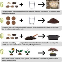 Kit de démarrage pour bonsaï, style américain, écologique, en plastique, pour la maison et le jardin, outils de plantation DIY, ensemble complet de culture