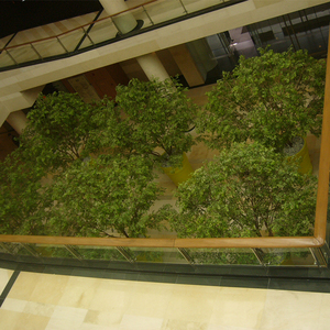 Fabricación de China de plástico de interior Ficus árbol Artificial Banyan árbol para <span class=keywords><strong>el</strong></span> aeropuerto - Product Image 6