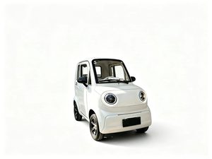 Scooter Eléctrico Yunlong <span class=keywords><strong>Q5</strong></span> EEC L6e con Asientos de Cuero, Cámara Trasera, Sin Necesidad de Licencia de Conducir, para Movilidad de Personas Mayores - Product Image 4