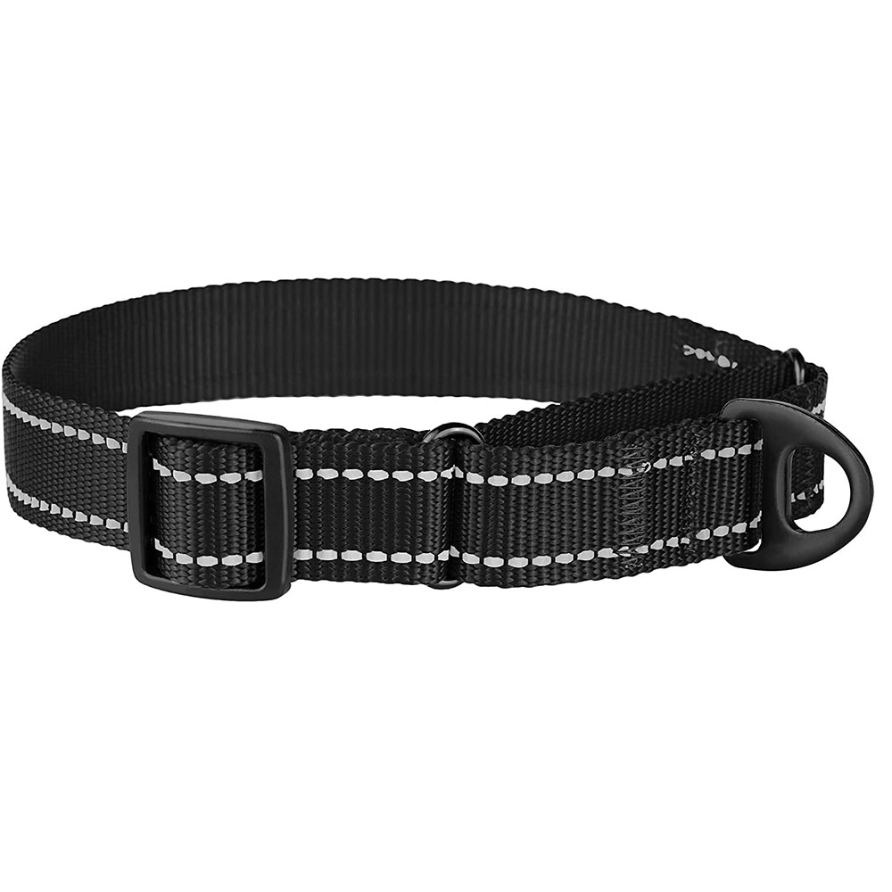 Персонализированный сверхпрочный тренировочный ошейник Martingale для собак, оптом