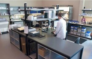 Human Troponin T,Tn-T ELISA Kit - Product Image 4