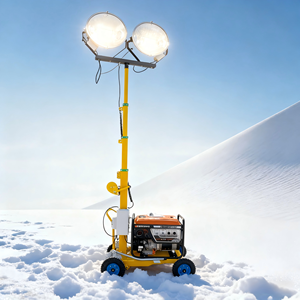 हैंडकार्ट-शैली पोर्टेबल गैसोलीन जनरेटर लाइटिंग टॉवर 2000w धातु के साथ - Product Image 4