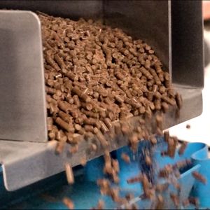 תוספי תזונה מותאמים אישית מינרלים ביצועים - Product Image 4