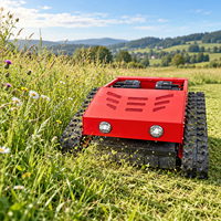 Pengiriman Gratis Euro 5 EPA Mini CE EURO 5 EPA Mesin Pemotong Rumput Remote Control RC untuk Pertanian