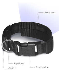 Collier LED pour chien contrôlé par application, collier rechargeable, collier lumineux pour chien, collier pour chien contrôlé par application - Product Image 2