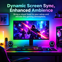 Barre lumineuse USB RGBIC pour moniteur PC de bureau, 5050 60 LED/m 5V, bande de rétroéclairage ambiant pour écran de jeu de 24 à 34 pouces avec contrôleur