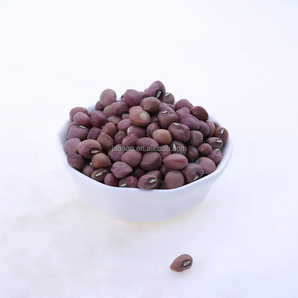 Wholesale Dry Red Cowpea Seeds Organic Black Eyed Pea Beans Cowpeas