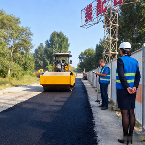 Rouleau de route 1 tonne Rouleau de pneu pour compacteur de routes Double tambour - Product Image 4