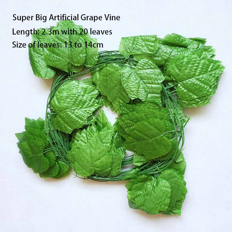 super gros raisin 20 feuilles