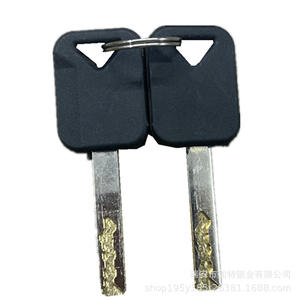Cylindre de serrure de porte Shaanxi Automobile Delong X3000 YSK1055 en alliage de zinc pour remplacement et réparation avec clé - Product Image 2
