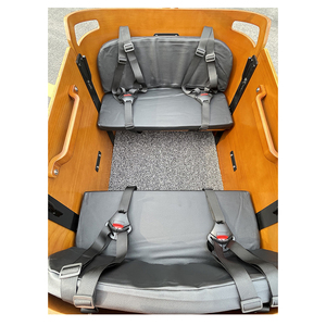 Vélo cargo néerlandais 250w <span class=keywords><strong>tricycle</strong></span> électrique avec siège vélo à 3 roues pour chien de compagnie - Product Image 6