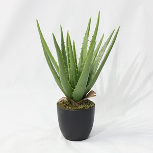 Plante succulente artificielle en plastique haute simulation à prix abordable, fabriquée en Chine, petite plante d'aloe vera pour décoration de bureau de Pâques - Product Image 1