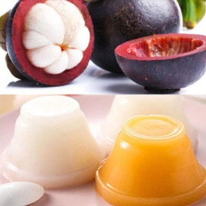 Poudre de Mangoustan en Gros – Jus de Mangoustan en Poudre au Meilleur Prix - Product Image 3