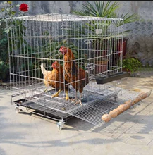 กรงไก่พร้อมถาดไข่และที่ให้อาหาร รูสี่เหลี่ยมเชื่อมติดกัน ทำจากลวดตาข่ายเหล็กกล้าคาร์บอนต่ำชุบสังกะสีสำหรับรั้ว - Product Image 4