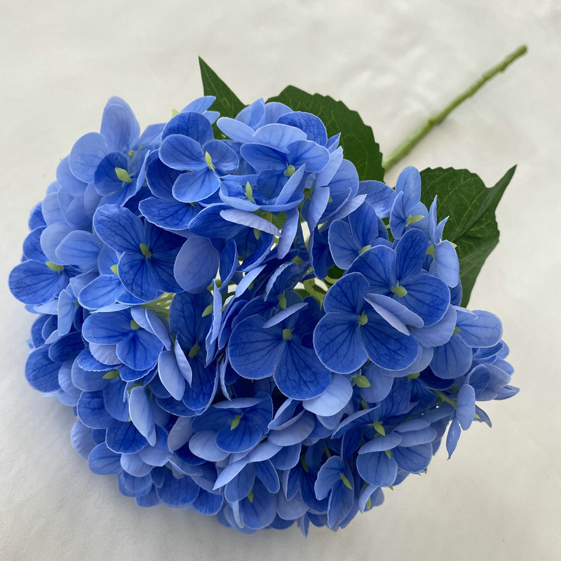 1# azul