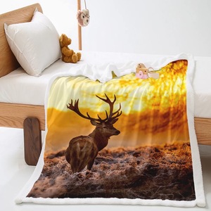 BSCI Factory <span class=keywords><strong>Palma</strong></span> Impresión <span class=keywords><strong>digital</strong></span> Manta de 2 capas Franela con Sherpa Manta de doble capa - Product Image 2