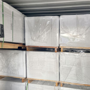 Les avantages des panneaux muraux ALC pour la construction d'une unité de logement plat ou accessoire de grand-mère ADU - Product Image 2