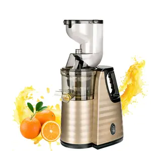 400W 304 Roestvrij Staal Fruit Juicer Extractor Koude Pers Machine Masticating Trage Sapcentrifuge Voor Fruit Groente