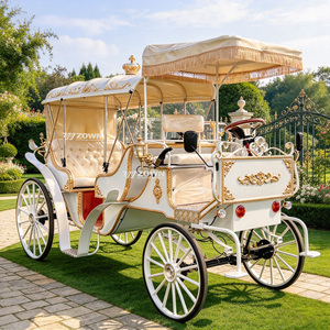 ZOWN Voiturette Électrique Vintage Élégante pour Visites Touristiques avec Batterie 60V 80A et Roues Solides - Product Image 6