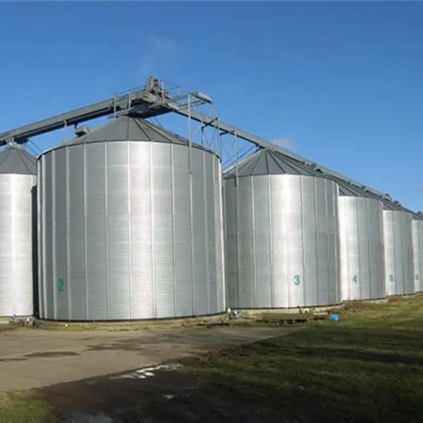Silo di stoccaggio del grano di lunga durata di alta qualità di alta qualità per le grandi aziende agricole