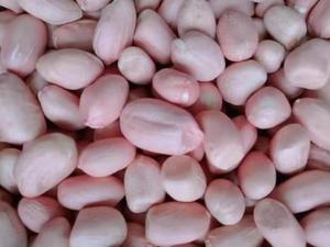 Nhà Máy Bán Hàng Trực Tiếp Đặc Biệt Hot Bán Số Lượng Lớn Da Đỏ Đậu Phộng Hạt Nhân Trung Quốc Nguyên Đậu Phộng Hạt Nhân Mà Không Có Vỏ - Product Image 4