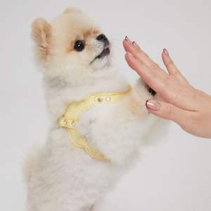 Arnés de Cuero Premium Resistente y Antitirones para Perros, Arnés Acolchado para Pasear Mascotas con Tiras Reflectantes para Perros Grandes, Servicio OEM ODM - Product Image 4