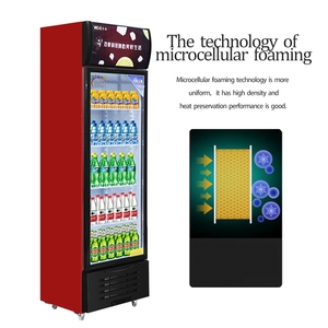 Single-Temperature Kitchen Cooler Refrigeration Equipment <strong>Display</strong> for Efficient Food Storage - Product Image 3