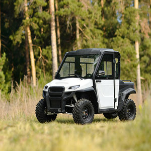 Сельскохозяйственный двухместный электрический внедорожник Cengo 4WD с закрытой кабиной, запас хода 70-90 км, сертификаты CE/GCC/<span class=keywords><strong>Eec</strong></span>, литиевая батарея, скорость 30-50 км/ч - Product Image 1