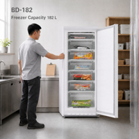 Congélateur vertical commercial pour aliments surgelés, 182 L, porte simple, 7 tiroirs, dégivrage manuel, refroidissement R134a R600a