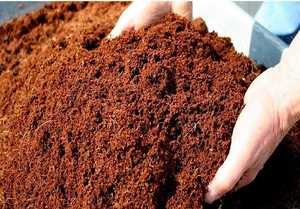 Brique de coco, bloc de fibre de coco, écologique, biodégradable, pour plantes, jardinage, mélange de terreau, conditionnement du sol, naturel, 650 - Product Image 3