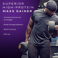 Protein Whey Mass Gainer untuk Dewasa, Rasa Cokelat, Kemasan Botol 1.6kg, Tersedia