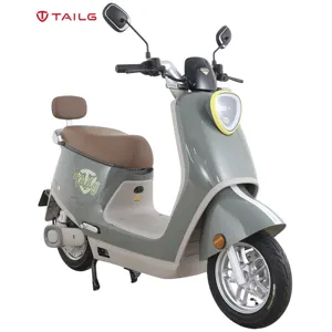 TAILG Limited Long Range 150Km 250CC E Moped Scooter Vespa Adv Adult Electric Bike Motorcycles