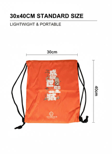 Wholesale Customize Logo Foldable Bag Nylon Mesh <b>Drawstring</b> Bag <b>Drawstring</b> <b>Backpack</b> - Product Image 2