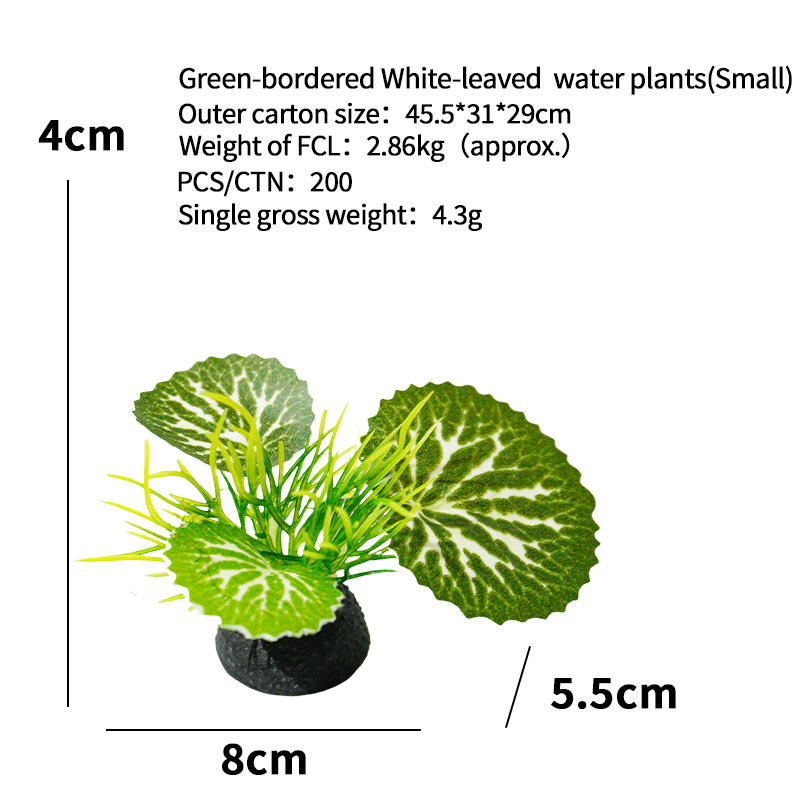 Feuilles blanches à bordure verte (petites)