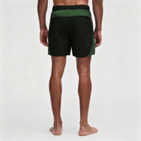 Shorts de sport pour hommes personnalisés, en nylon, à blocs de couleur, avec cordon de serrage élastique à la taille, séchage rapide, légers, pour la plage