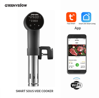 Circulateur automatique Wifi, 150 ml, contrôle par Immersion, cuisson à faible coût, appareil ménager électrique