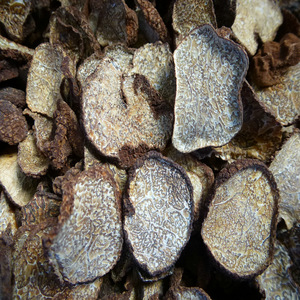 Buen Precio natural trufa salvaje hongo <span class=keywords><strong>Tuber</strong></span> <span class=keywords><strong>magnatum</strong></span> secos de trufa blanca - Product Image 4